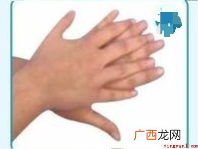 洗手方法的具体操作步骤 洗手方法