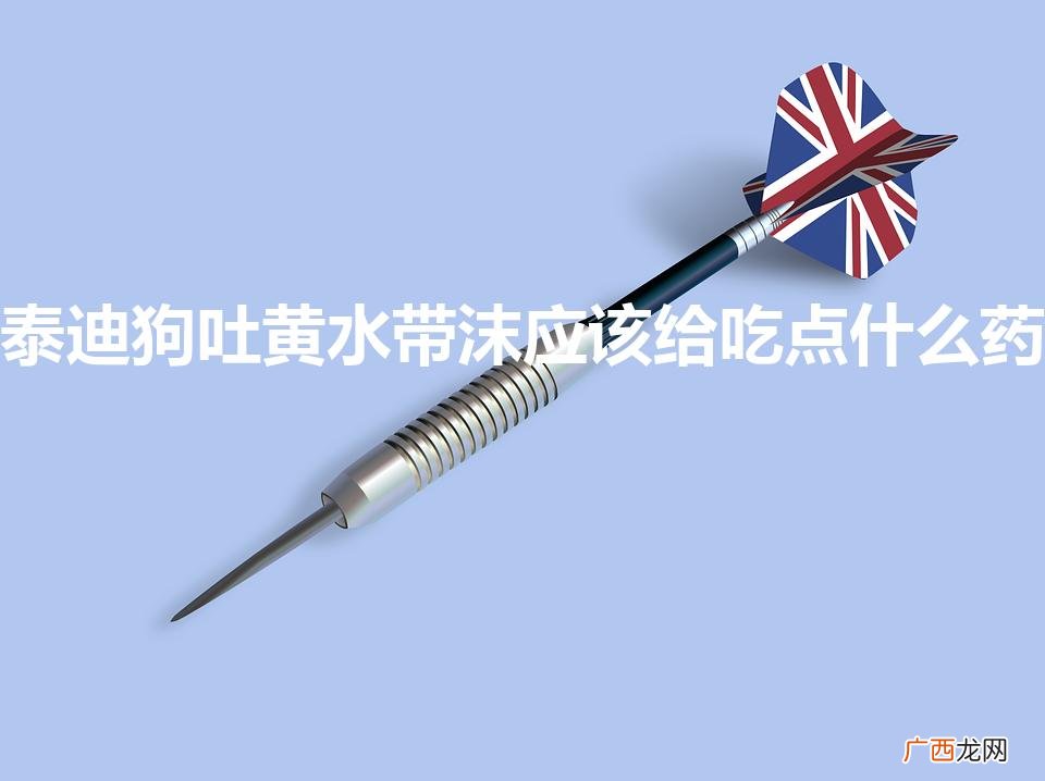 泰迪狗吐黄水带沫应该给吃点什么药（泰迪小狗吐黄沫吃点什么药)