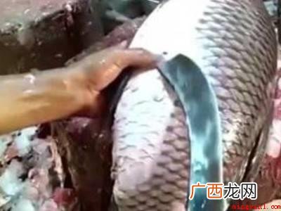 新鲜鱼怎么保存冰箱的具体操作步骤 新鲜鱼怎么保存冰箱