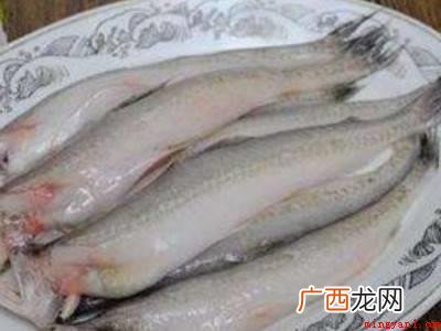 新鲜鱼怎么保存冰箱的具体操作步骤 新鲜鱼怎么保存冰箱