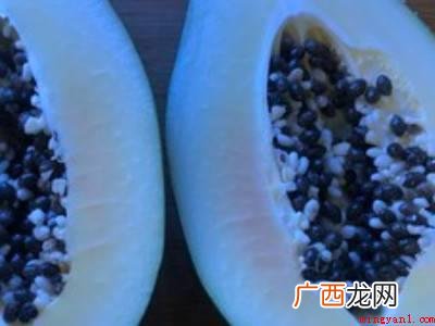 皱皮木瓜怎么吃的具体操作步骤 皱皮木瓜怎么吃