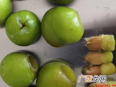 李子干怎么晒干好吃的具体操作步骤 李子干怎么晒干好吃