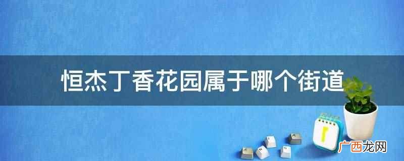 恒杰丁香花园属于哪个街道
