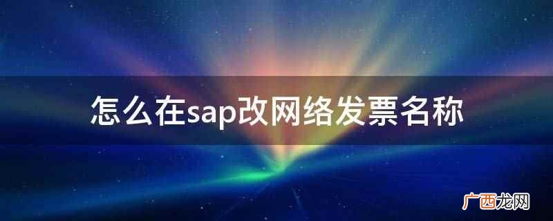 怎么在sap改网络发票名称