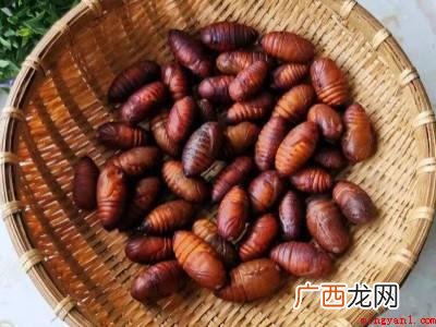 蝉蛹怎么处理可以食用的具体操作步骤 蝉蛹怎么处理可以食用