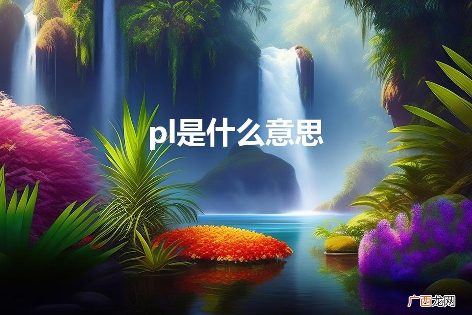 pl是什么意思(plog是什么意思)