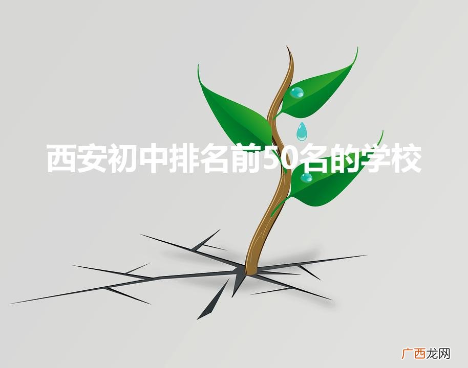 西安初中排名前50名的学校（西安龙门一年补课学费多少钱)