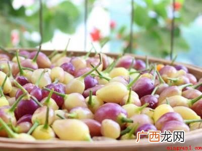 七彩辣椒怎么泡又脆又好吃的具体操作步骤 七彩辣椒怎么泡又脆又好吃