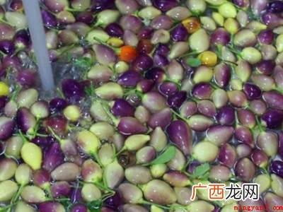 七彩辣椒怎么泡又脆又好吃的具体操作步骤 七彩辣椒怎么泡又脆又好吃