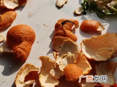 家里有瓢虫怎么清除的具体操作步骤 家里有瓢虫怎么清除