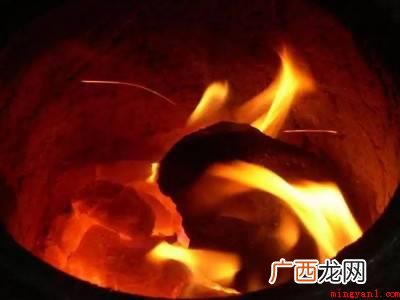 家里有瓢虫怎么清除的具体操作步骤 家里有瓢虫怎么清除