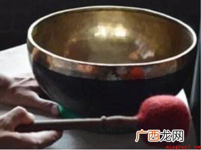家里蝙蝠怎么驱赶的具体操作步骤 家里蝙蝠怎么驱赶
