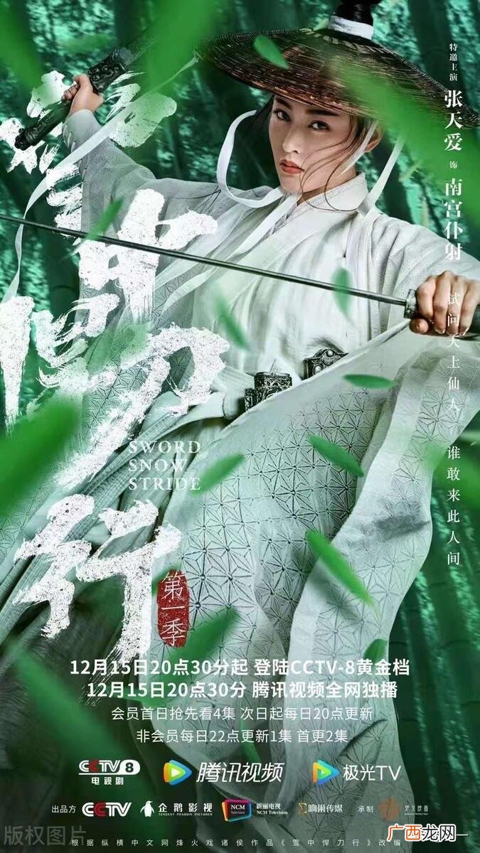 雪中悍刀行青鸟为什么背叛 陈芝豹为什么反北凉