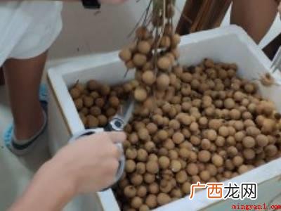 怎么晒龙眼干比较快的具体操作步骤 怎么晒龙眼干比较快
