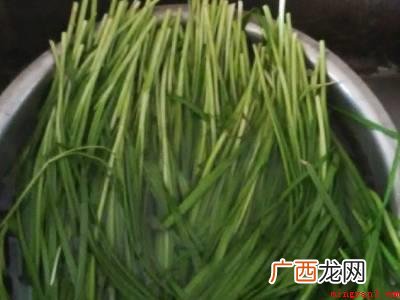 韭菜怎么切的具体操作步骤 韭菜怎么切