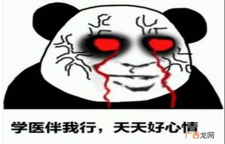 劝人学医天打雷劈是什么梗 劝人学医天打雷劈下一句是什么