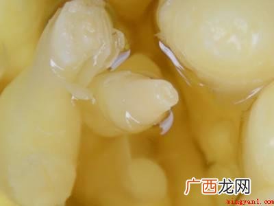 新鲜的仔姜怎么保存的具体操作步骤 新鲜的仔姜怎么保存