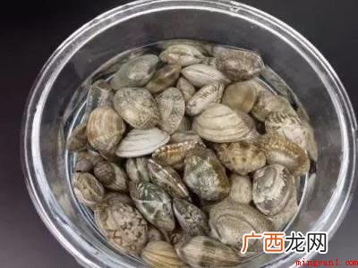怎么让蛤蜊把沙吐干净的具体操作步骤 怎么让蛤蜊把沙吐干净
