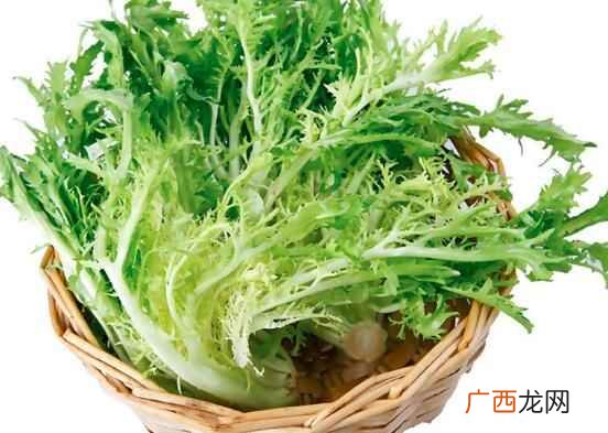 吃苦菊可以清肝去火 苦菊的功效与作用