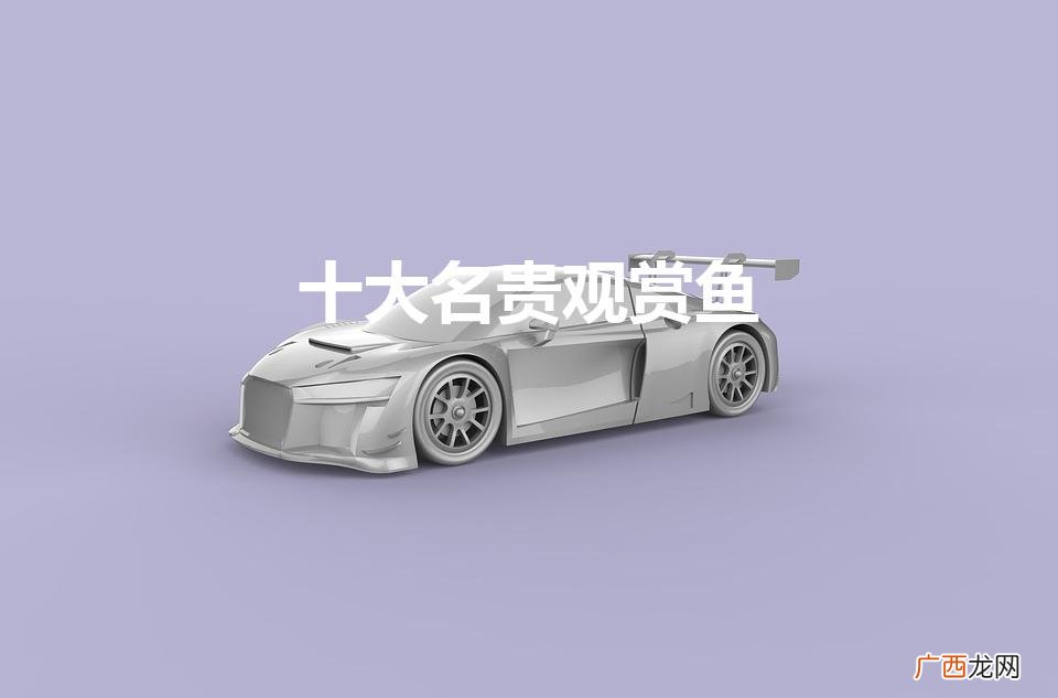 中国十大高档级观赏鱼 十大名贵观赏鱼