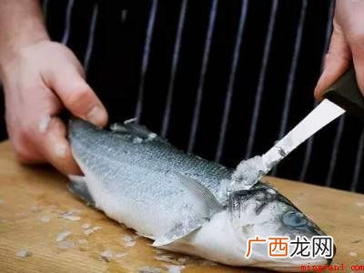 怎么去除鱼腥味的具体操作步骤 怎么去除鱼腥味