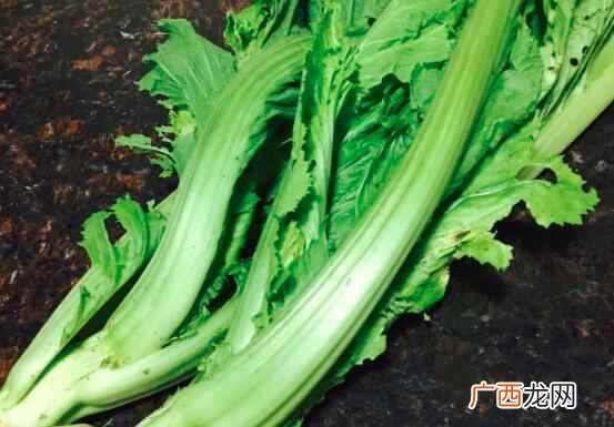 大芥菜和小芥菜最大的区别 大芥菜和小芥菜的区别
