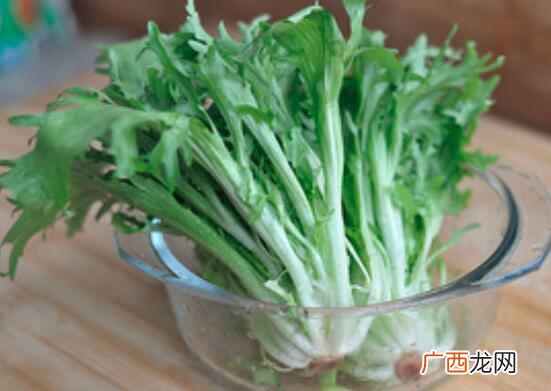 苦菊的热量是非常低的