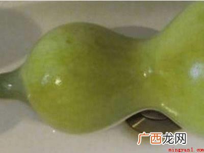 刚摘的葫芦怎么处理才能保存