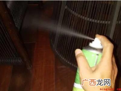 家里的小黑虫从哪来的怎样消灭