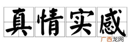 真情实感的意思