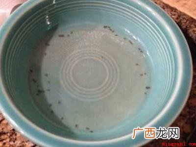 如何让蚊子灭绝的具体操作步骤 如何让蚊子灭绝