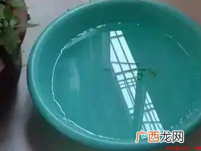 如何让蚊子灭绝的具体操作步骤 如何让蚊子灭绝