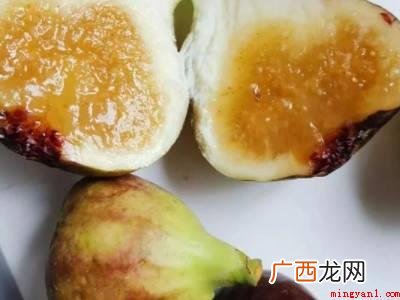 无花果泡水的正确方法的具体操作步骤 无花果泡水的正确方法