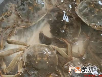 小螃蟹怎么清洗处理的详细操作 小螃蟹怎么清洗处理