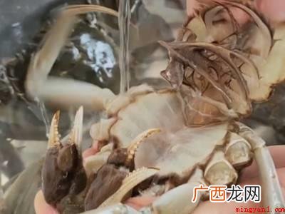 小螃蟹怎么清洗处理的详细操作 小螃蟹怎么清洗处理
