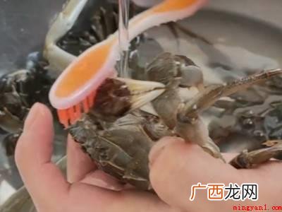 小螃蟹怎么清洗处理的详细操作 小螃蟹怎么清洗处理