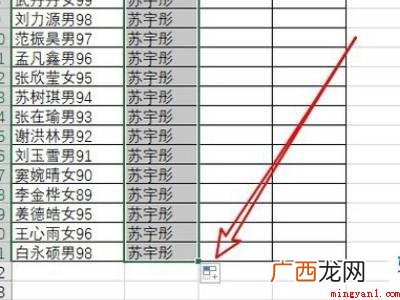 华为MateBook X中excel断开长信息的具体操作步骤 excel长信息如何断开