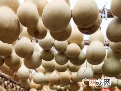新鲜的葫芦怎样晾干的具体操作步骤 新鲜的葫芦怎样晾干
