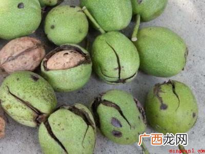 新鲜桃核怎么处理的具体操作步骤 新鲜桃核怎么处理