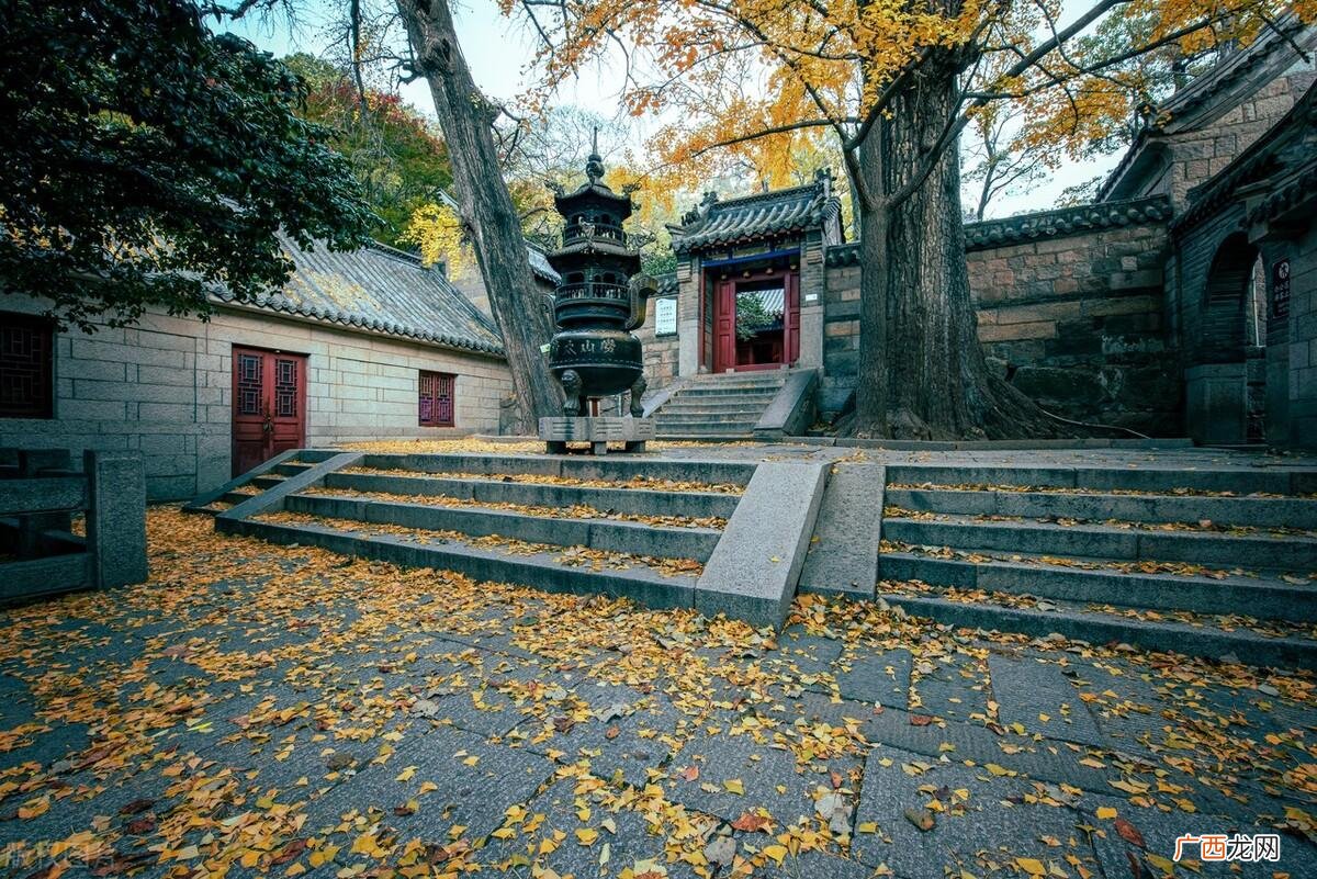 有道缘的人有这四大特征 与道有缘的人征兆