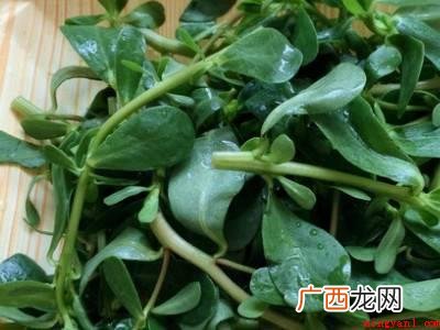 马齿苋怎么凉拌好吃的具体操作步骤 马齿苋怎么凉拌好吃