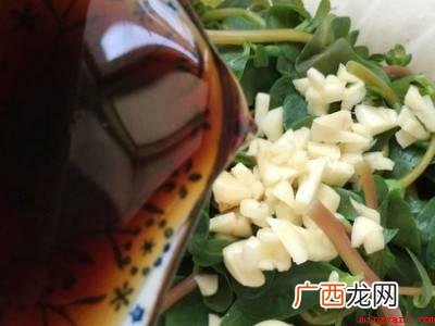 马齿苋怎么凉拌好吃的具体操作步骤 马齿苋怎么凉拌好吃