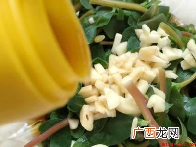 马齿苋怎么凉拌好吃的具体操作步骤 马齿苋怎么凉拌好吃