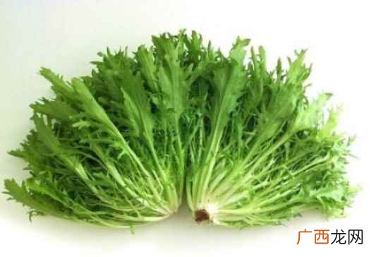 苦菜可以补血吗