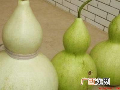 青葫芦怎么变干葫芦的具体操作步骤 青葫芦怎么变干葫芦