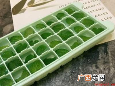 新鲜薄荷叶怎么长期保存