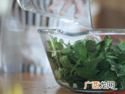 新鲜薄荷叶怎么长期保存