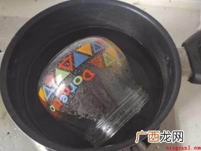 三伏姜怎么晒的具体操作步骤 三伏姜怎么晒