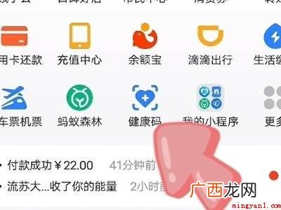 演示机型:Iphone 12 支付宝健康码打不开