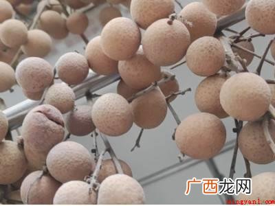 元肉怎么晒干的具体操作步骤 元肉怎么晒干